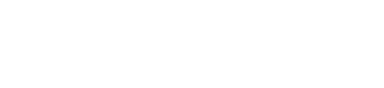 Logo dtails